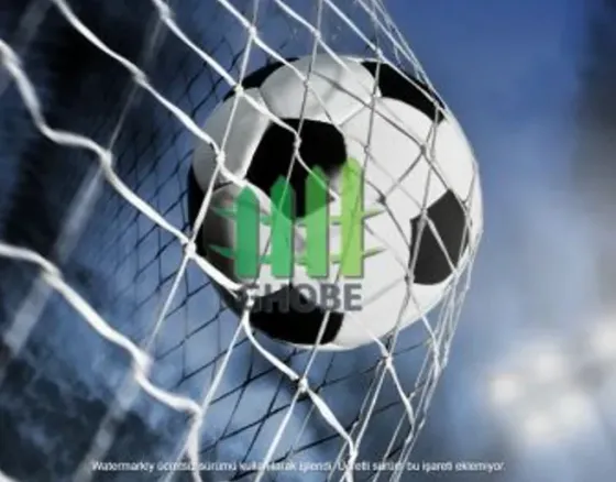 Ფეხბურთის კარის ბადე თბილისი