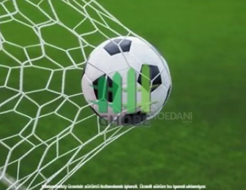 Ფეხბურთის კარის ბადე თბილისი - photo 2