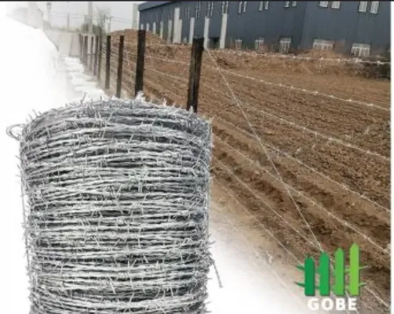 Ეკლიანი მავთული (მოთუთიებული) თბილისი