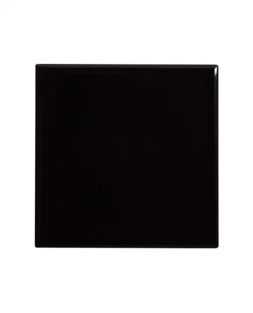 Negro Liso Brillo Taco 10x10 – высококачественный тротуарный материал. Тбилиси