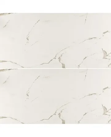 Albatros 60*120 (Rect.Glossy Nano) თბილისი