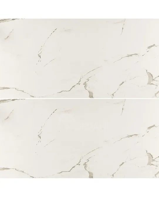 Albatros 60*120 (Rect.Glossy Nano) თბილისი - photo 1