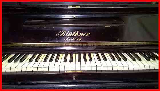 Casio Japan Electronic Piano piano Tbilisi