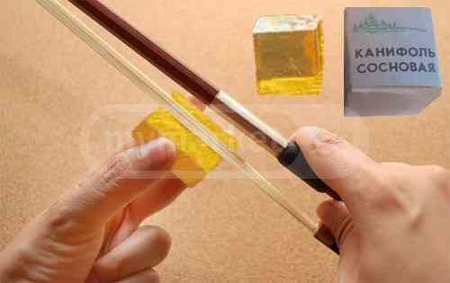 Catcher Cora rosinfolia pine jorak bridge Samhre Surdina Kame Tbilisi