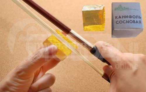 კანიფოლი ფიჭვის დამჭერი კორა ჯორაკი ხიდი სამხრე სურდინა კამე თბილისი - photo 1