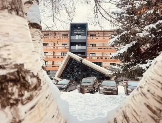 იყიდება 1 ოთახიანი ბინას 31მ² 2/5 სართ ბორჯომი