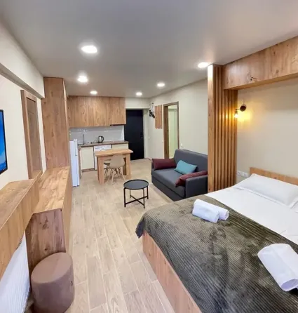 იყიდება 1 ოთახიანი ბინას 31მ² 2/5 სართ ბორჯომი