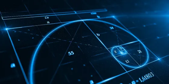 Სატენდერო ბრუნვის დადასტურება თბილისი