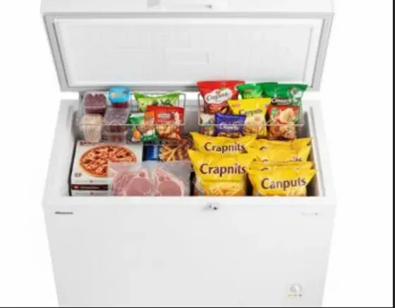 550 ლიტრიიანი საყინულე მაცივარი Hisense Fc55Dt-White თბილისი