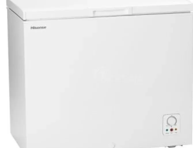 Საყინულე Hisense FC-26Dd4Sa 200ლიტრი თბილისი - photo 2
