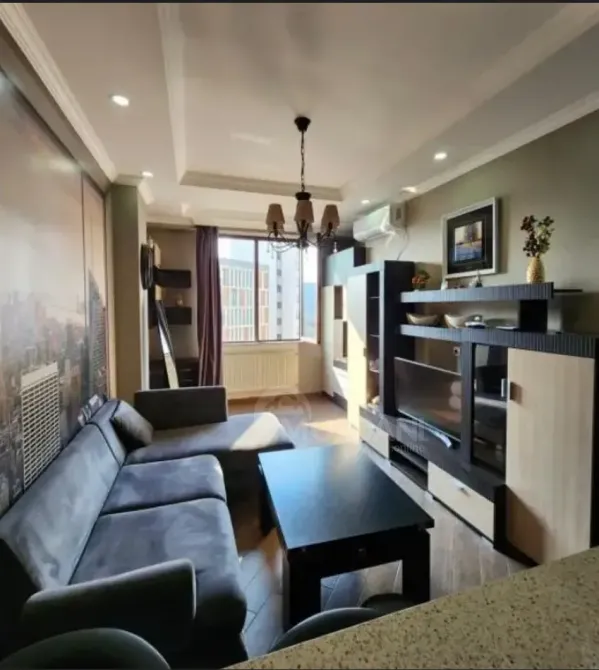 ქირავდება 2 ოთახიანი ბინა 50მ² 9/9 სართ თბილისი - photo 3