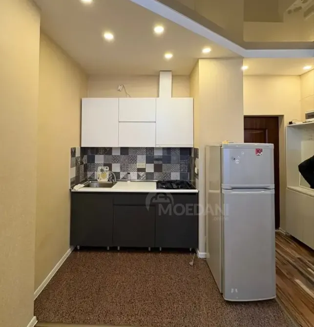 ქირავდება 2 ოთახიანი ბინა 60მ² 17/20 სართ თბილისი - photo 9