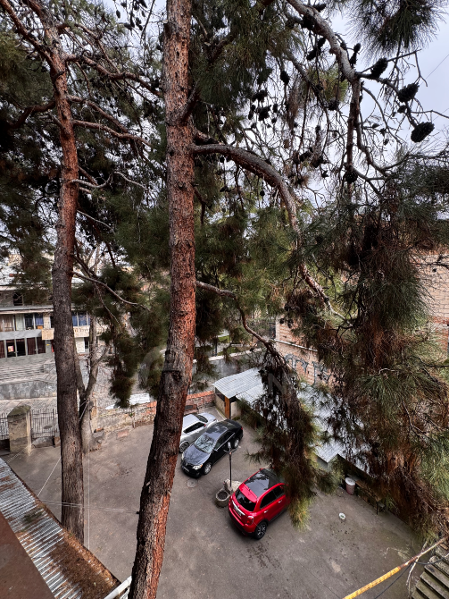 იყიდება 3 ოთახიანი ბინას 82მ² 3/3 სართ თბილისი - photo 2