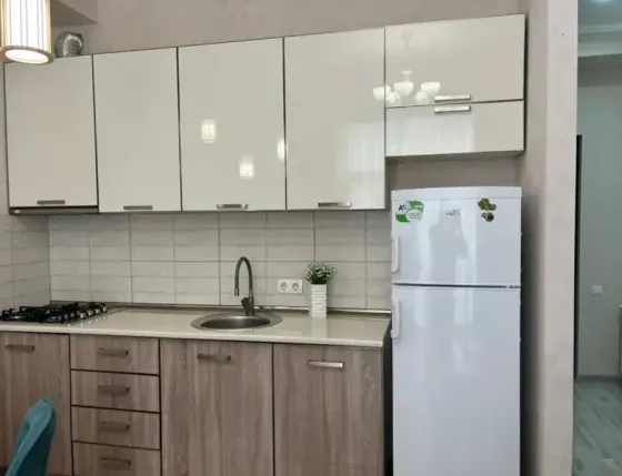 ქირავდება 2 ოთახიანი ბინა 45მ² 2/9 სართ თბილისი