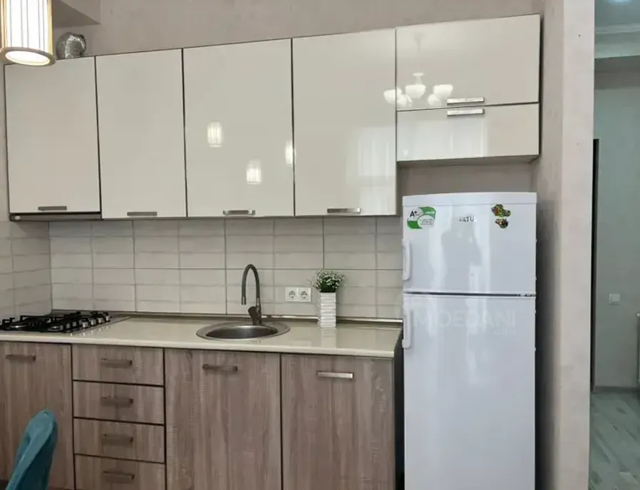 ქირავდება 2 ოთახიანი ბინა 45მ² 2/9 სართ თბილისი - photo 4