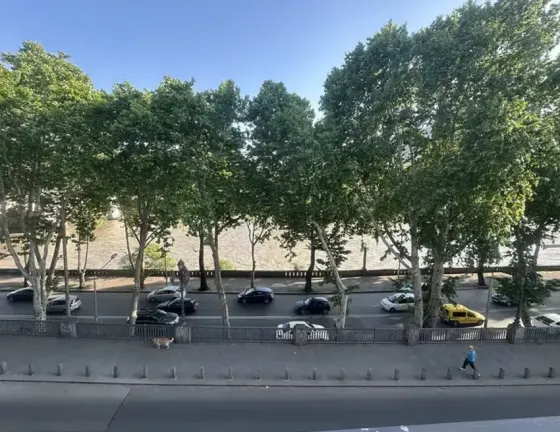 ქირავდება 1 ოთახიანი ბინა 65მ² 2/3 სართ თბილისი