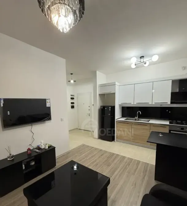 Apartments For Rent two-room 55м² 9/12 floor Tbilisi - photo 2