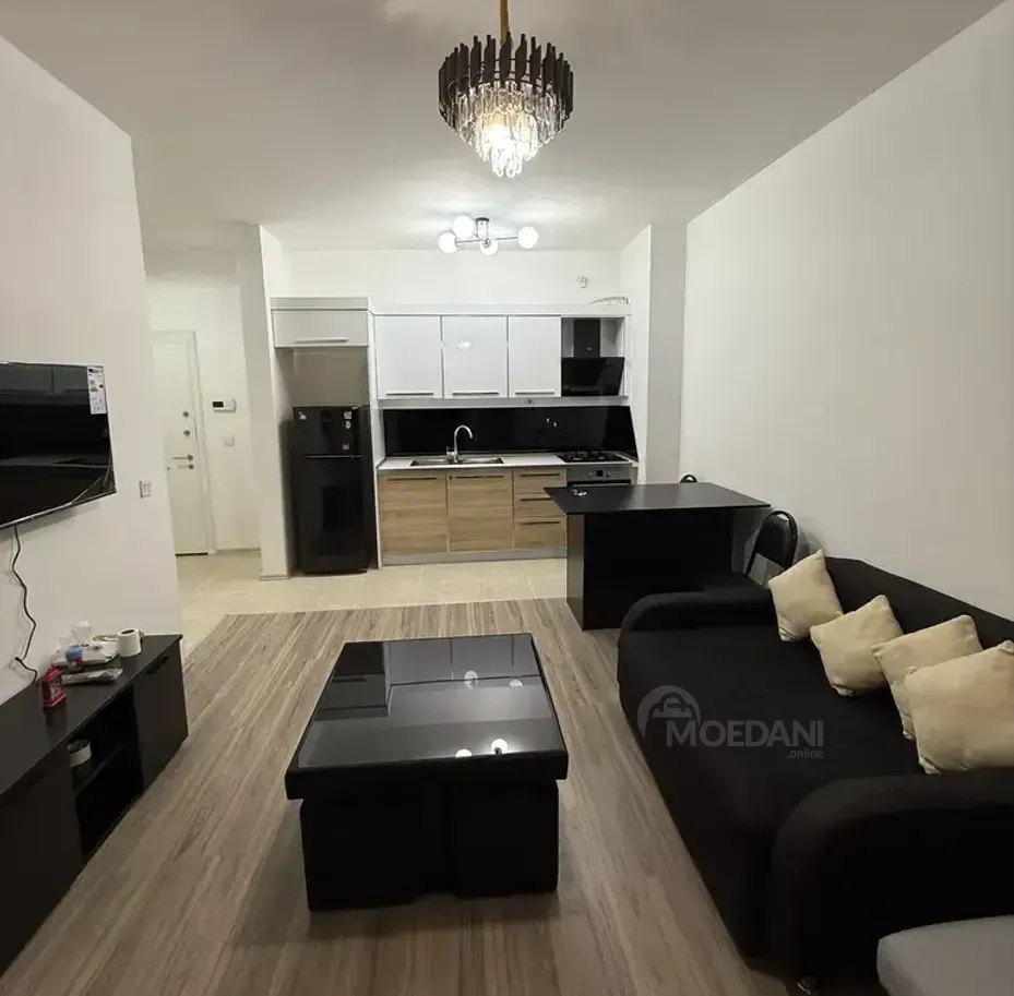 Apartments For Rent two-room 55м² 9/12 floor Tbilisi - photo 1