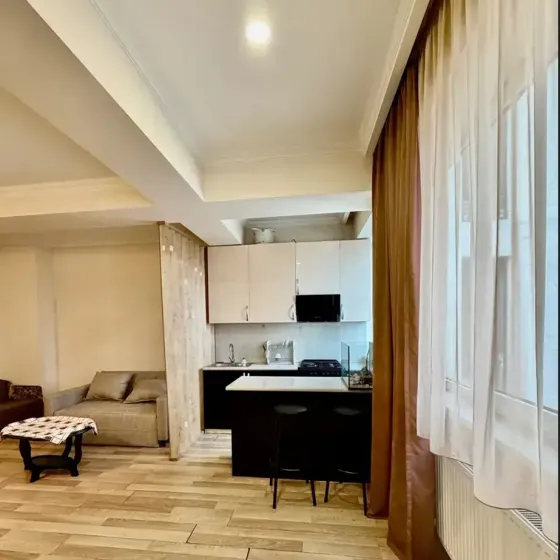 ქირავდება 2 ოთახიანი ბინა 55მ² 11/11 სართ თბილისი