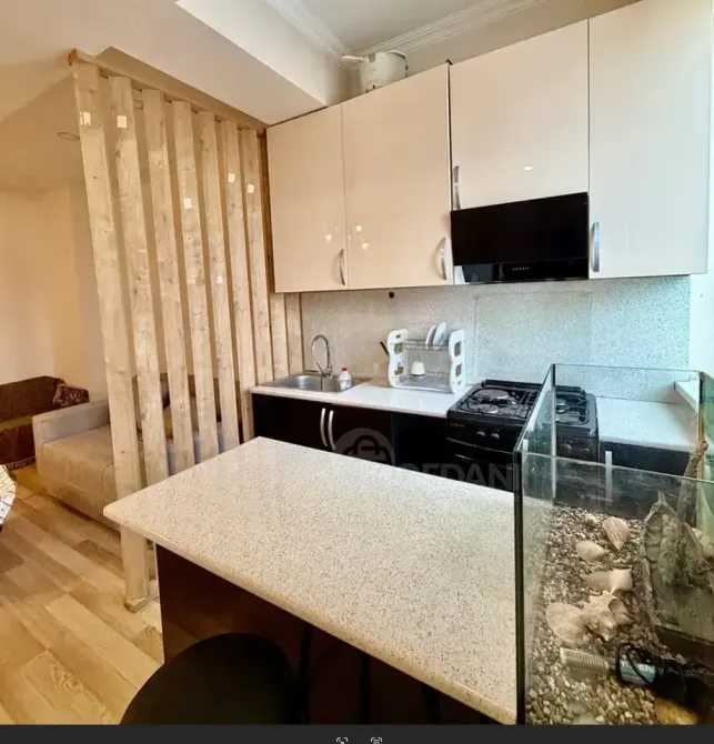 ქირავდება 2 ოთახიანი ბინა 55მ² 11/11 სართ თბილისი - photo 4