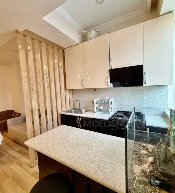 ქირავდება 2 ოთახიანი ბინა 55მ² 11/11 სართ თბილისი - photo 4