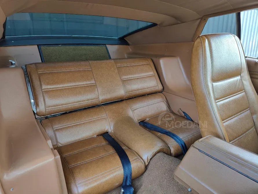 Ford Mustang 5.8L 1973 თბილისი - photo 11