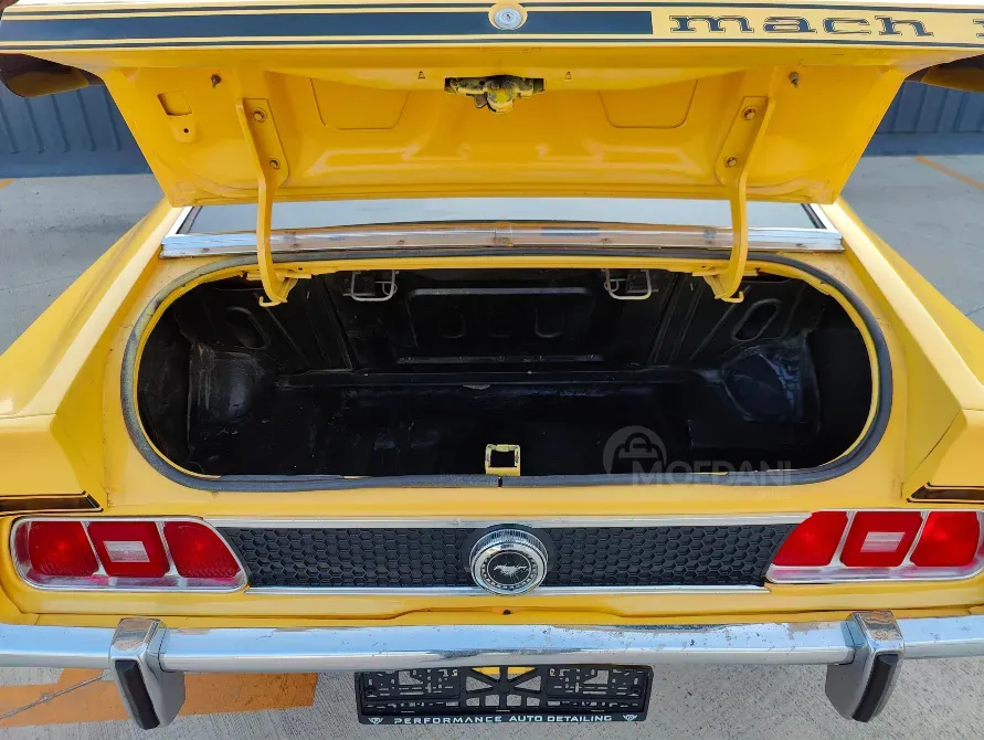 Ford Mustang 5.8L 1973 თბილისი - photo 8