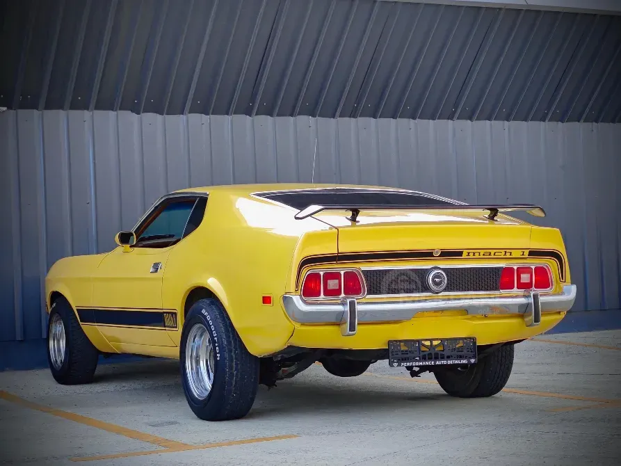 Ford Mustang 5.8L 1973 თბილისი - photo 14
