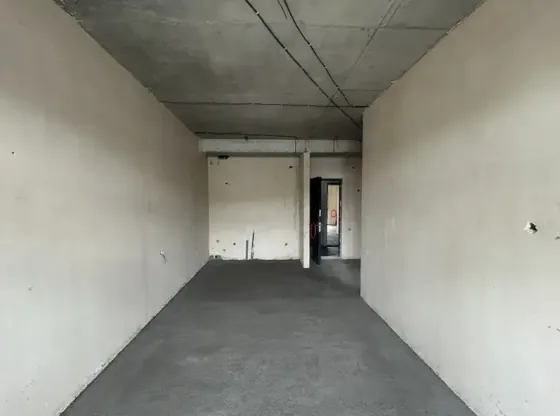 იყიდება 2 ოთახიანი ბინას 55მ² 2/8 სართ თბილისი