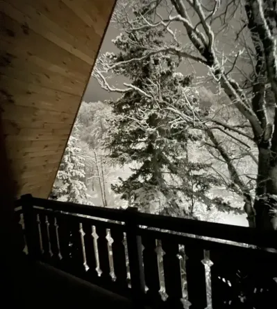 იყიდება 1 ოთახიანი ბინას 55.7მ² 4/4 სართ ბორჯომი