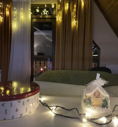 იყიდება 1 ოთახიანი ბინას 55.7მ² 4/4 სართ ბორჯომი