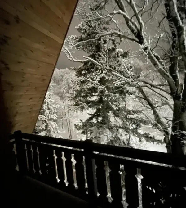 იყიდება 1 ოთახიანი ბინას 55.7მ² 4/4 სართ ბორჯომი - photo 3