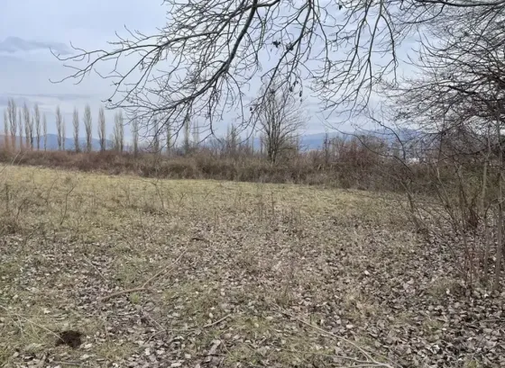 იყიდება მიწის ნაკვეთი 1000м² მცხეთა