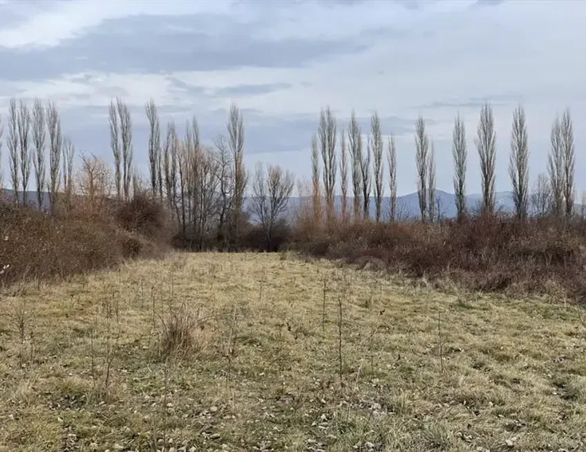 იყიდება მიწის ნაკვეთი 1000м² მცხეთა - photo 10