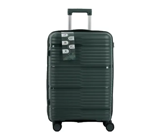 Ჩემოდნების კომპლექტი სილიკონის D. Green 75x45x30 სმ, 30კგ 24x30x15 სმ, 4 კგ. 10889A-5 თბილისი