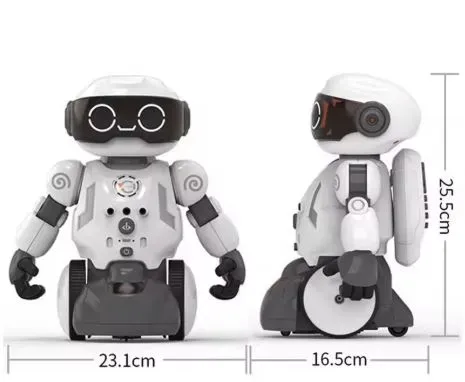 Ინტელექტუალური რობოტი თბილისი