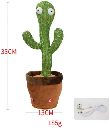 Მოლაპარაკე კაკტუსი 33 სმ თბილისი