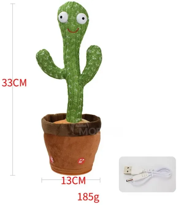 Მოლაპარაკე კაკტუსი 33 სმ თბილისი - photo 3