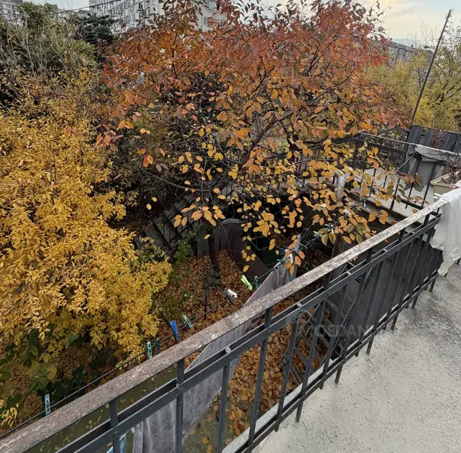 სახლი 163м² თბილისი - photo 7