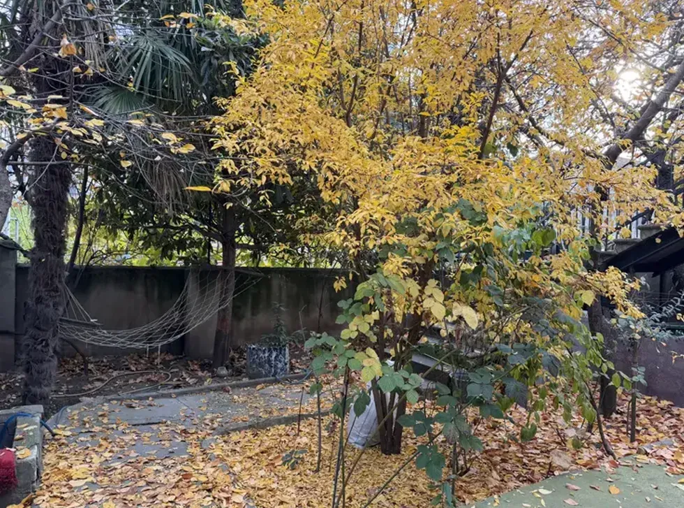 სახლი 163м² თბილისი - photo 10