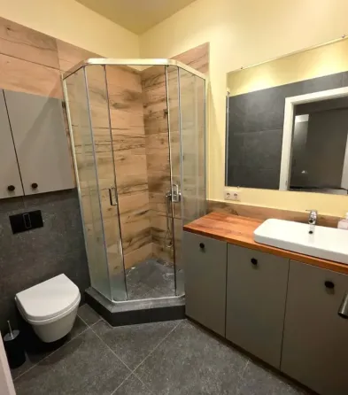 ქირავდება 2 ოთახიანი ბინა 55მ² 2/8 სართ თბილისი