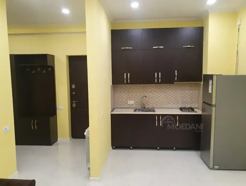 ქირავდება 2 ოთახიანი ბინა 55მ² 17/20 სართ თბილისი - photo 5