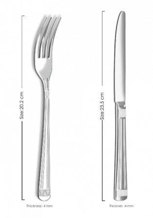 Დანა-ჩანგლის კომპლექტი Berllong BCR-0100 24 ცალიანი თბილისი