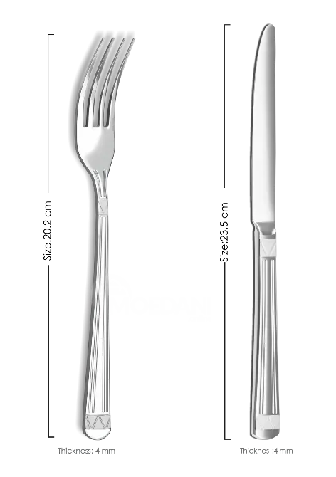 Დანა-ჩანგლის კომპლექტი Berllong BCR-0100 24 ცალიანი თბილისი - photo 3