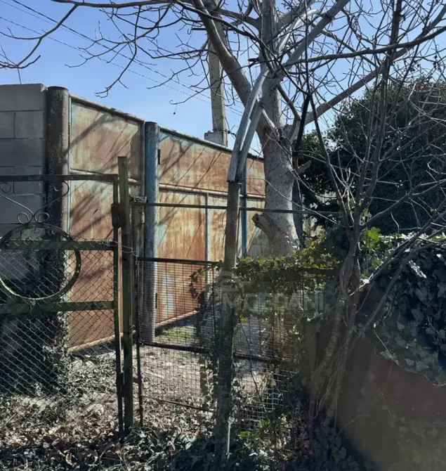 სახლი 1427м² გარდაბანი - photo 7