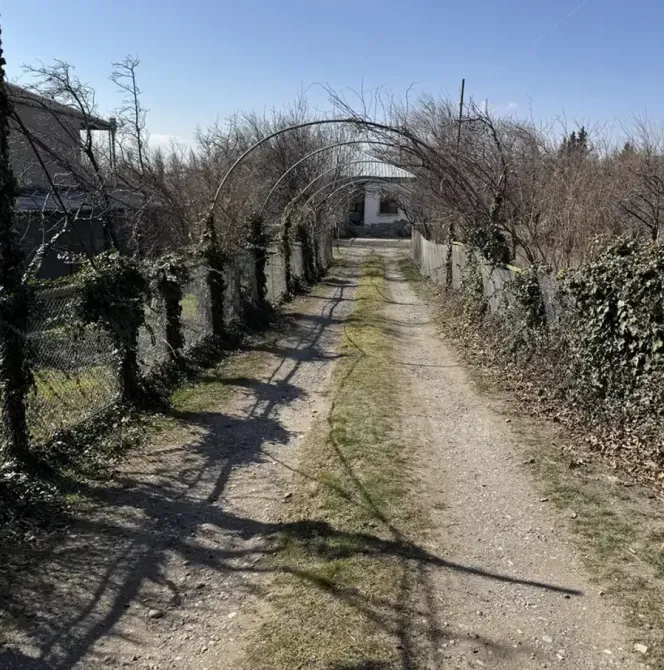 სახლი 1427м² გარდაბანი - photo 2