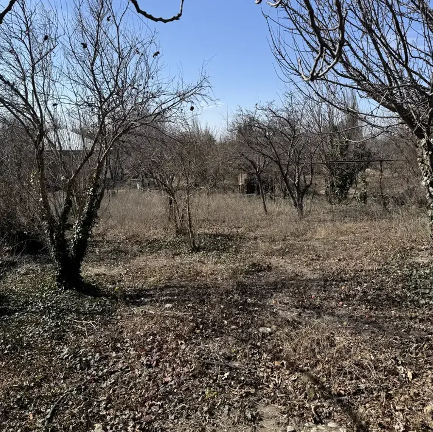 სახლი 1427м² გარდაბანი - photo 8