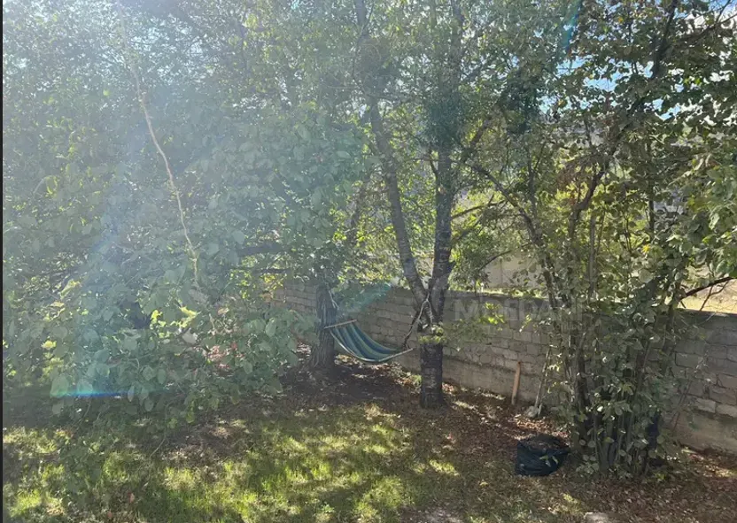 აგარაკი 1300м² დუშეთი - photo 6