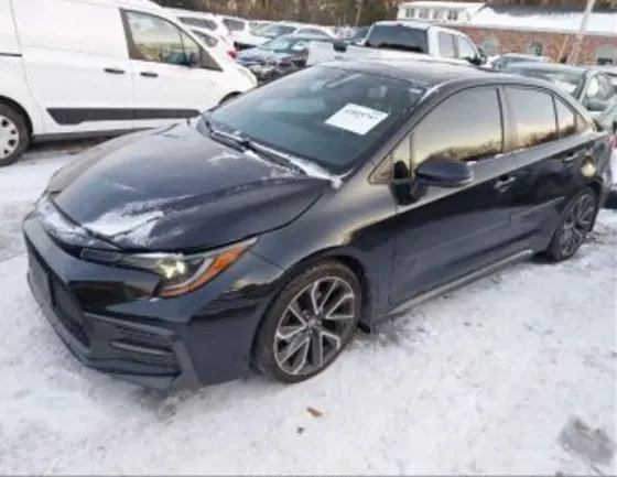 Toyota Corolla 2L 2020 Тбилиси