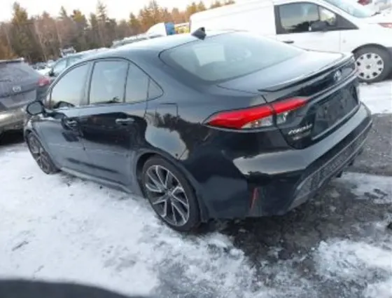 Toyota Corolla 2L 2020 Тбилиси